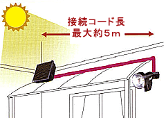 最大約5m